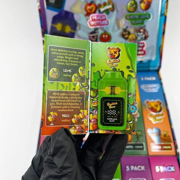 Buddah Bear Disposable