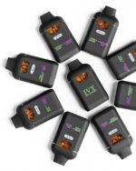 Ivy Los Angeles 2G Disposable Dual Chamber