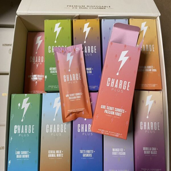 Charge Plus 2G Disposable